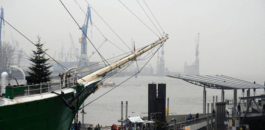 Statek w porcie z drzewkiem iglastym na dziobie