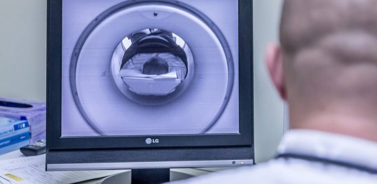 Zdjęcie ilustracyjne (fot. pixabay.com)