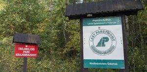 (fot. Anna Bobrowska / KFP)