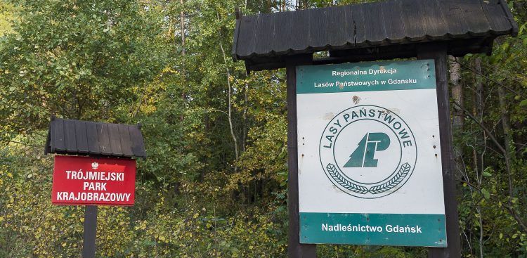 (fot. Anna Bobrowska / KFP)