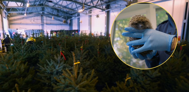 (fot. Zakład Utylizacyjny w Gdańsku)