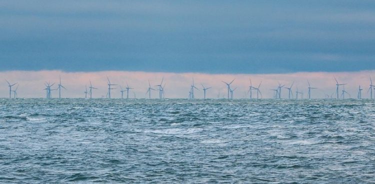 Zdjęcie ilustracyjne (Fot. Pixabay)