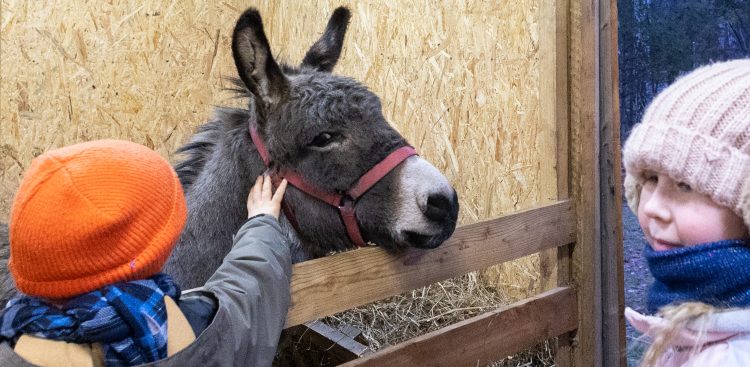 Żywa szopka przy Sanktuarium Miłosierdzia Bożego w Gdańsku Strzyży. 25.12.2023 (fot. Anna Rezulak / KFP)