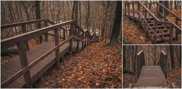 (fot. ZDiZ Gdynia/Marcin Mielewski)