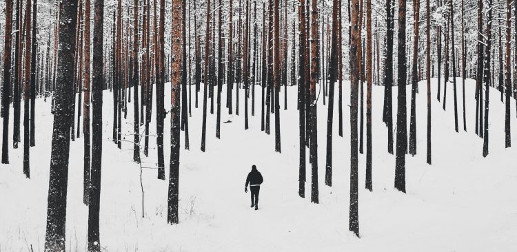 Zdjęcie ilustracyjne (fot. Freepik)