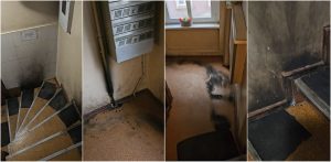 (fot. Iwona Stelmaszczuk)