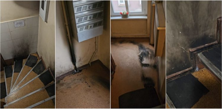 (fot. Iwona Stelmaszczuk)