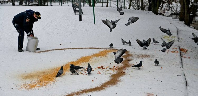 Gdyński Ekopatrol w akcji (fot. Magda Śliżewska/gdynia.pl)