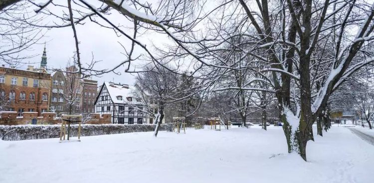 Jeden ze skwerów w Gdańsku (fot. Piotr Wittman / gdansk.pl)