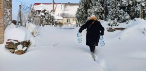 (fot. MOPR w Słupsku)