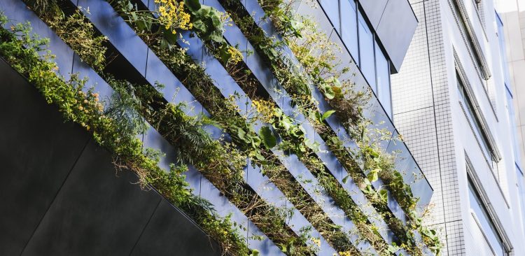 (fot. Fundacja Orlen dla Pomorza)