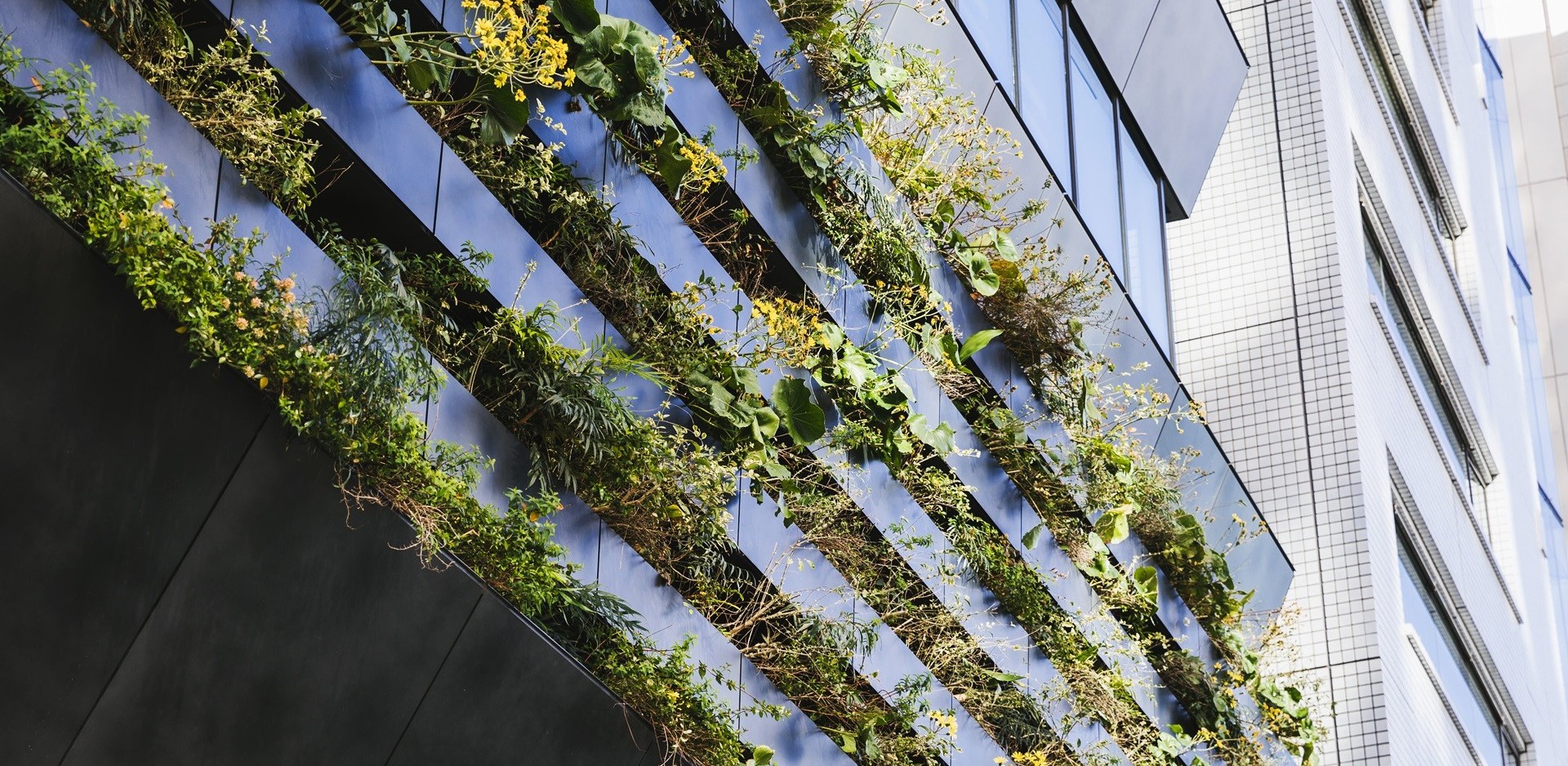 (fot. Fundacja Orlen dla Pomorza)