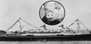 Zdjęcie ilustracyjne (fot. Wikimedia Commons/Freepik)