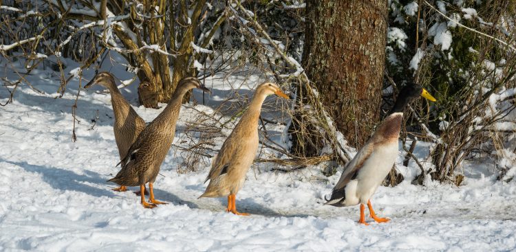 Zdjęcie ilustracyjne (fot. Freepik)