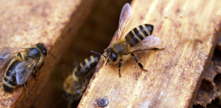 (fot. mat. sponsorowane)