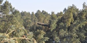 (fot. Radio Gdańsk/Łukasz Kosik)