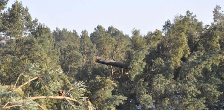 (fot. Radio Gdańsk/Łukasz Kosik)