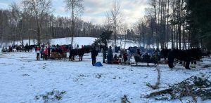 (fot. Zrzeszenie Kaszubskich Kuczerów i Hodowców Koni)