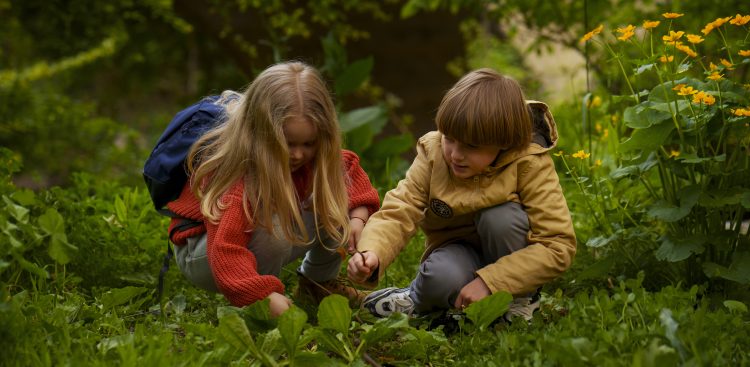Zdjęcie ilustracyjne (fot. Freepik)