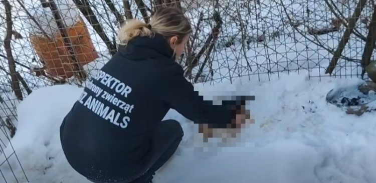 (Fot. Facebook/OTOZ Animals)