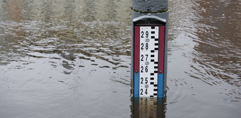 (Fot. Krzysztof Tomasik / KFP)