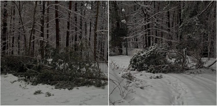 (fot. Radio Gdańsk/Sebastian Kwiatkowski)