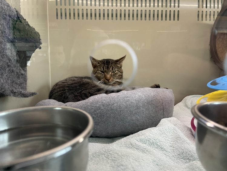 (fot. T.Nieśmiałek/Radio Gdańsk)