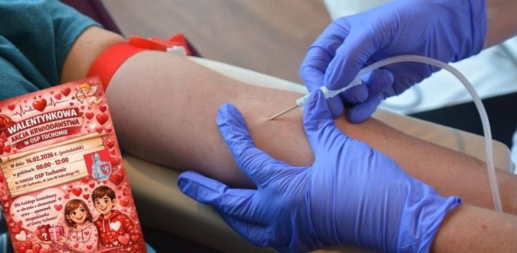 Zdjęcie ilustracyjne (fot. pixabay)