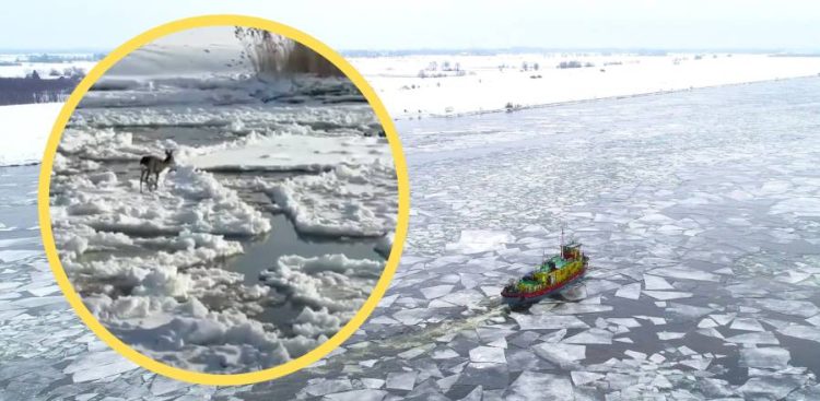 (fot. Wody Polskie RZGW w Gdańsku)