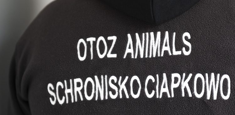 (Fot. Anna Bobrowska / KFP)