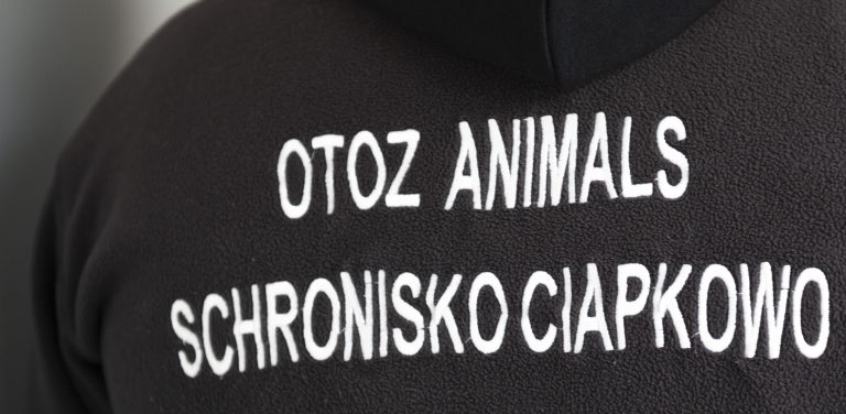 (Fot. Anna Bobrowska / KFP)