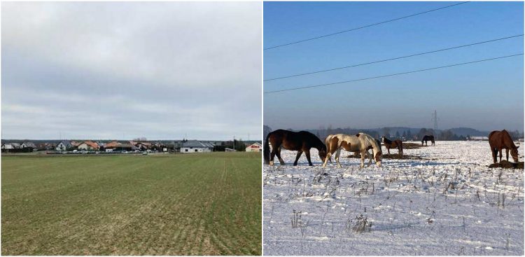 (fot. archiwum mieszkańców wsi Kokoszkowy)