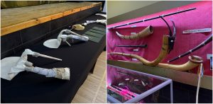 (fot. Radio Gdańsk/Robert Groth)