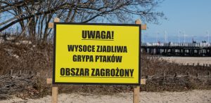 Zdjęcie ilustracyjne (fot. Krzysztof Mystkowski / KFP)