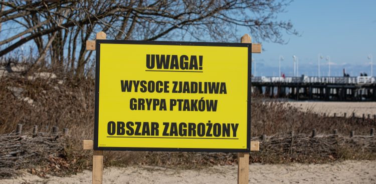 Zdjęcie ilustracyjne (fot. Krzysztof Mystkowski / KFP)