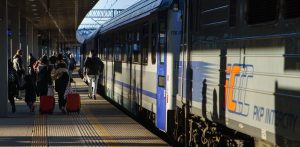 (Fot. Anna Rezulak / KFP)