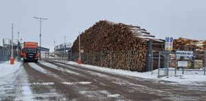 (fot. Radio Gdańsk/Maria Sowisło)