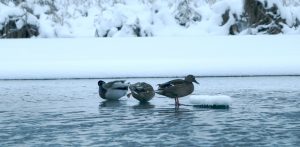 Zdjęcie ilustracyjne (Fot. Freepik)