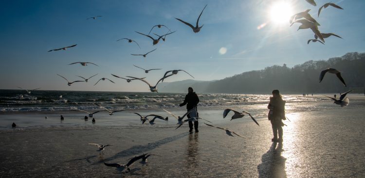 Zdjęcie ilustracyjne (fot. Paweł Marcinko / KFP)