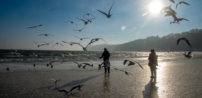 Zdjęcie ilustracyjne (fot. Paweł Marcinko / KFP)