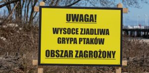 Zdjęcie ilustracyjne (fot. Krzysztof Mystkowski / KFP)