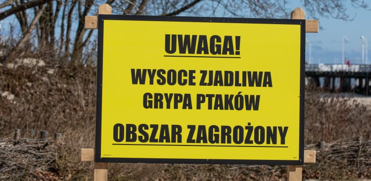 Zdjęcie ilustracyjne (fot. Krzysztof Mystkowski / KFP)