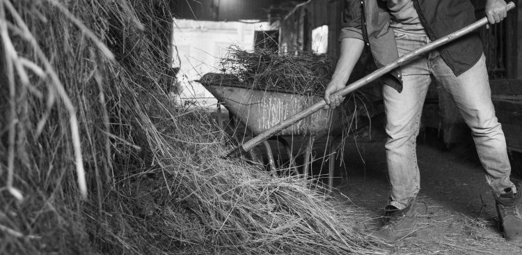 Zdjęcie ilustracyjne (Fot. Freepik)