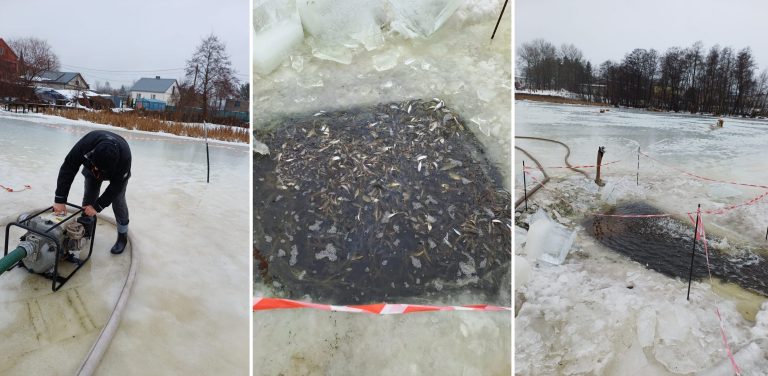 (Fot. Radio Gdańsk/Łukasz Kosik)