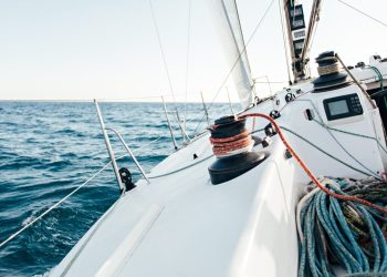 Zdjęcie ilustracyjne (fot. Freepik)