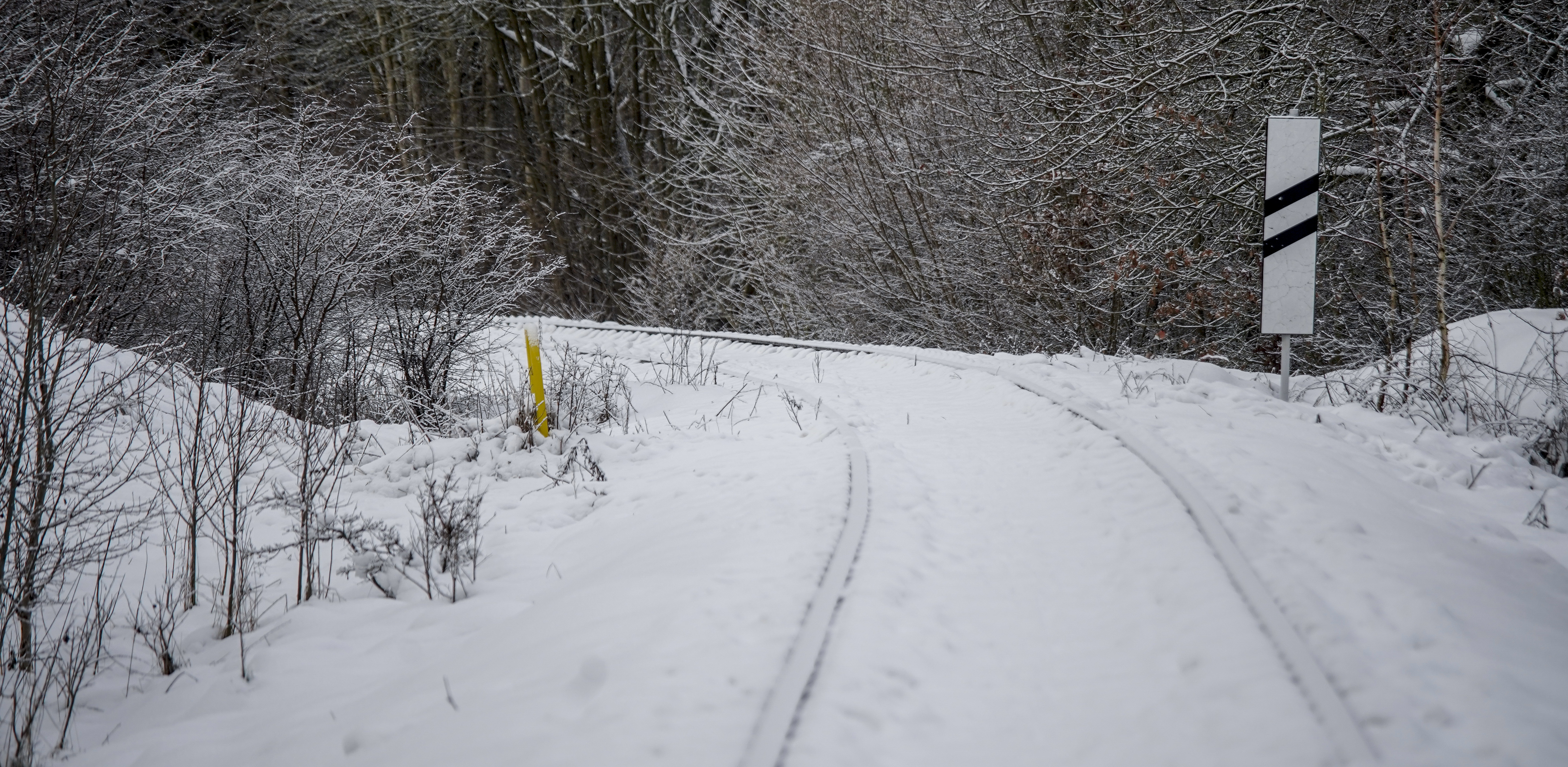 Zdjęcie ilustracyjne (fot. Paweł Marcinko / KFP)