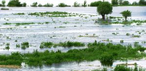 (foto. A.Olszak/pomorskie.eu)