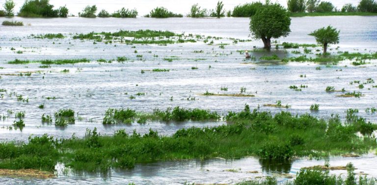 (foto. A.Olszak/pomorskie.eu)