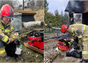 (fot. KM PSP Gdańsk)