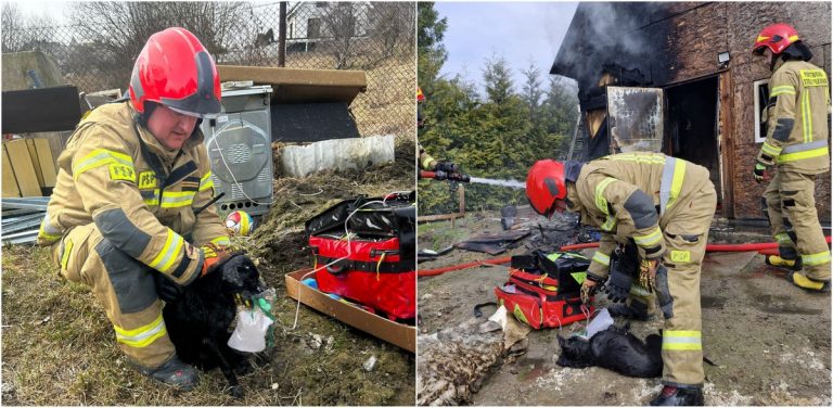 (fot. KM PSP Gdańsk)